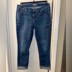 Torrid Jeans